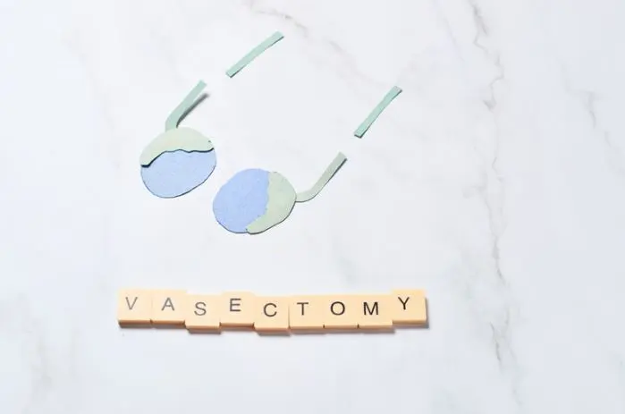 vasectomy